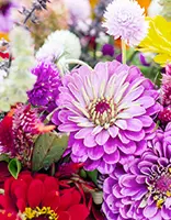 Bloemen