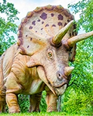 Dinozaury
