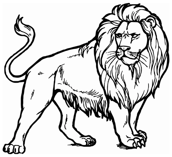 Angry Looking Lion Coloring Page