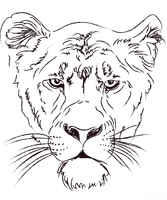 Female Lions Head