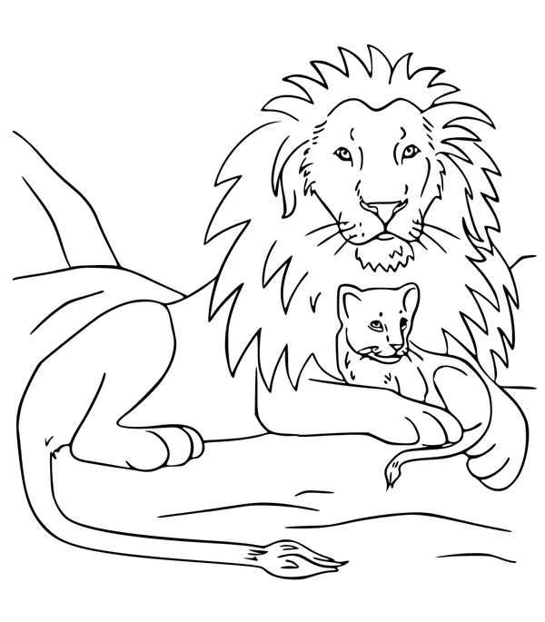 Dibujo para Colorear León con bebé león