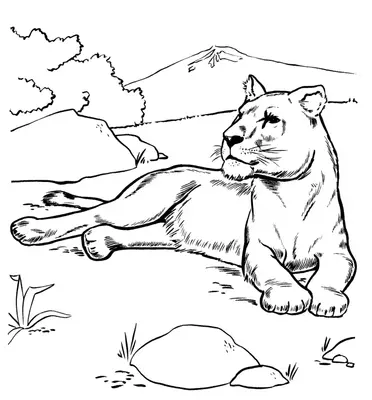 León hembra mentirosa