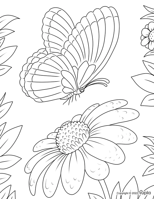 Beautiful Butterfly with Big Flower Coloring Page