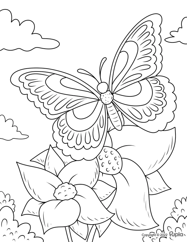 Butterfly with Daffodils Coloring Page