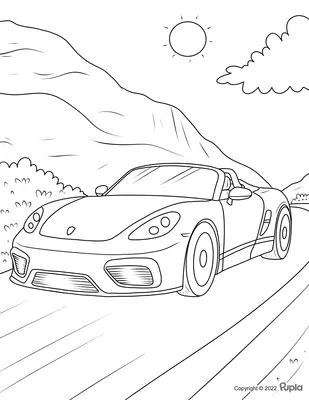 Coches Porsche Cayman