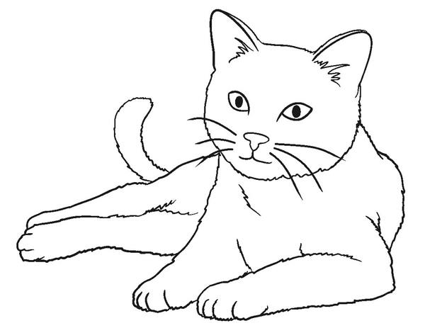 Cat Lying Coloring Page