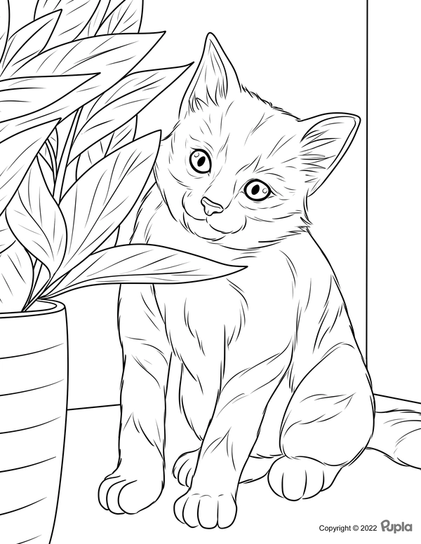 Cat with Plant Coloring Page