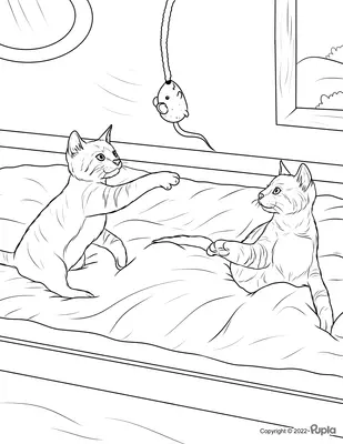Katten Spelen met Muis