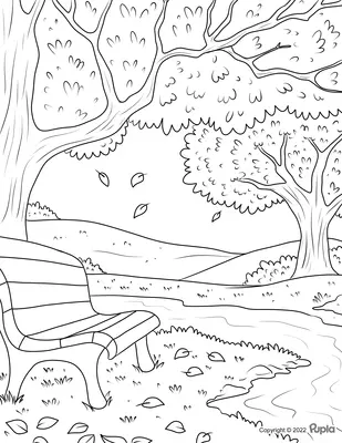 Fall Forest Bench