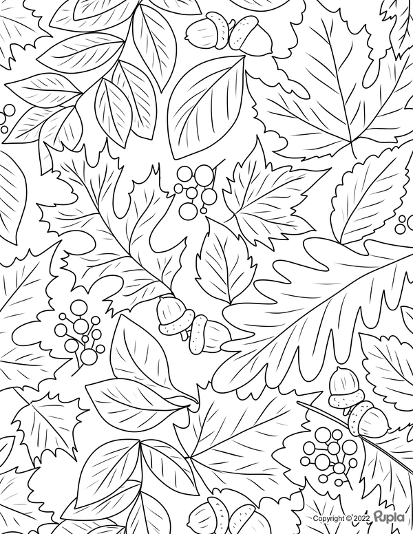Dibujo para Colorear Composición de hojas y bellotas de otoño