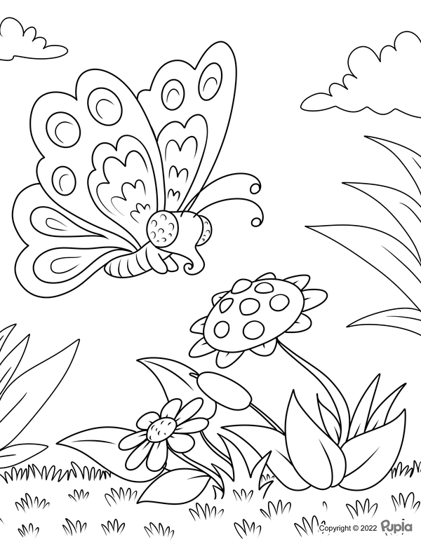 Dibujo para Colorear Mariposa voladora y flores