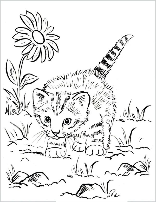 Cat Playing in Garden Coloring Page