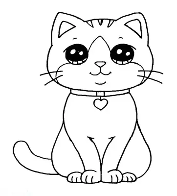Cuidar gatos