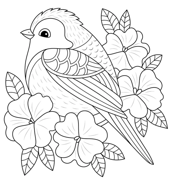 Dibujo para Colorear Pájaro de primavera