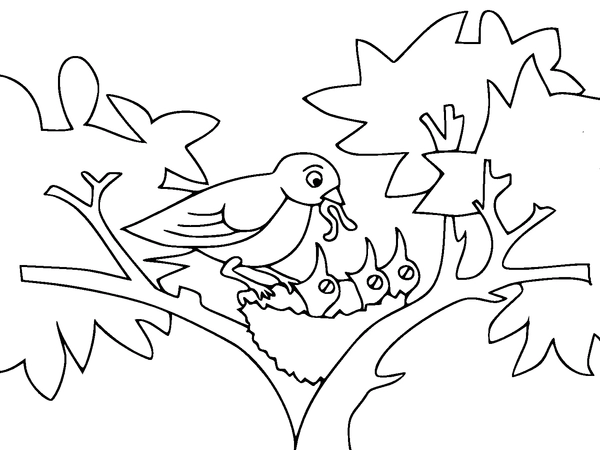 Dibujo para Colorear Primavera Mamá pájaro alimentando a sus bebés