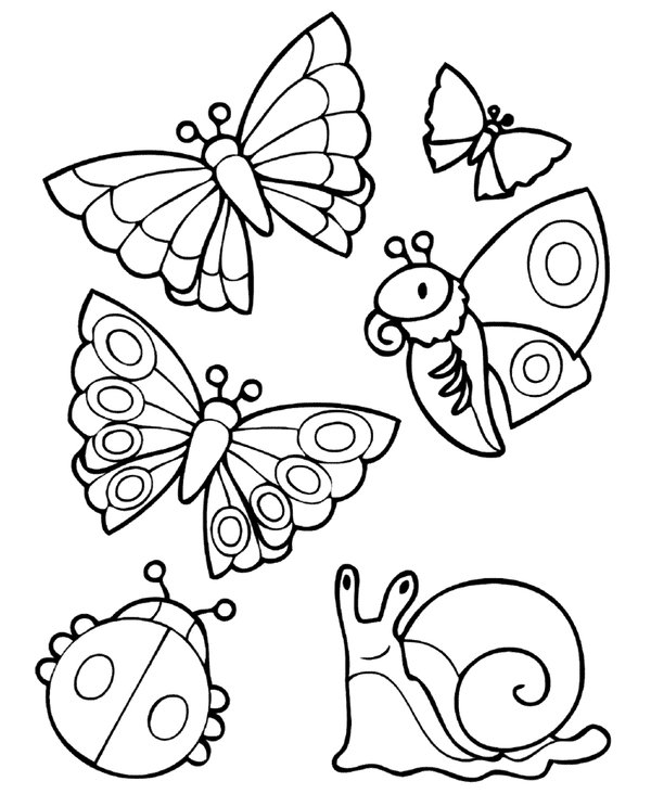 Different Spring Animals Coloring Page