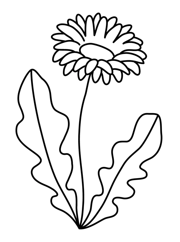 Spring Daisy Coloring Page