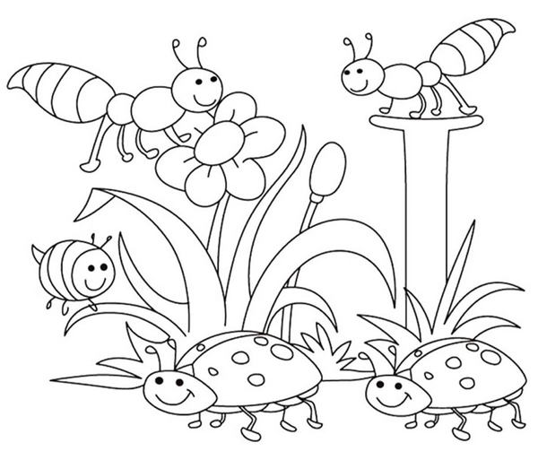 Frühlingsbienen und Marienkäfer Ausmalbild
