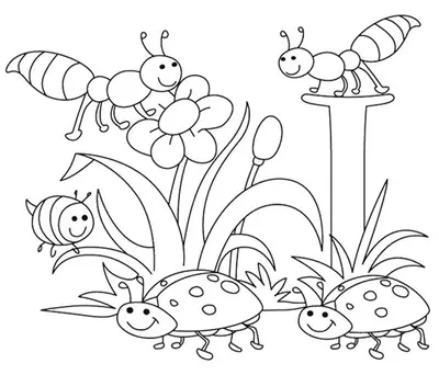Frühlingsbienen und Marienkäfer