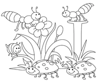 Frühlingsbienen und Marienkäfer