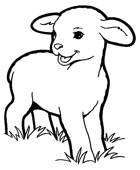 Spring Lamb Coloring Page
