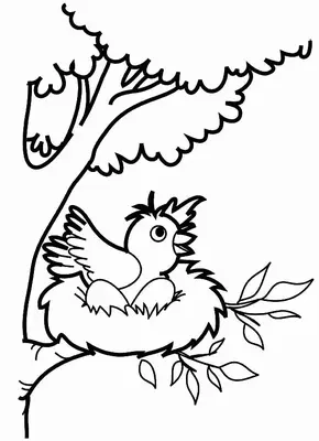 Frühling Rotkehlchen Vogel im Nest