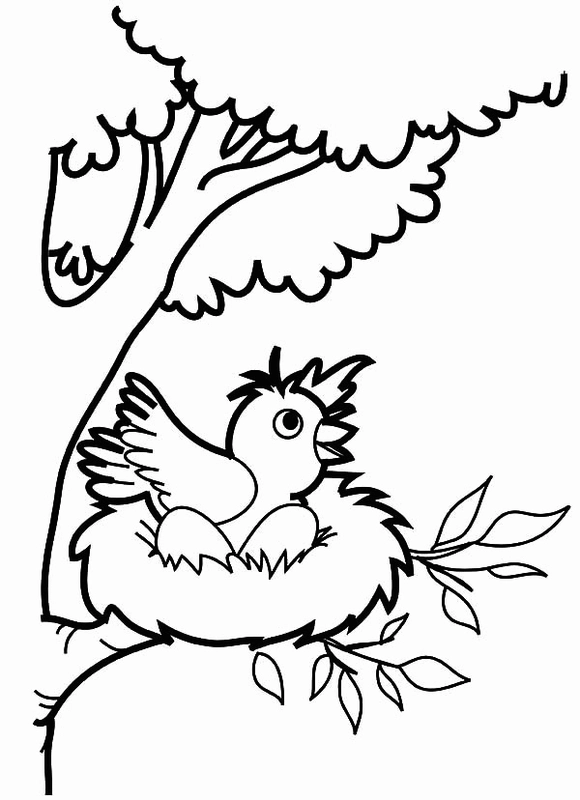 Spring Robin Bird in Nest Coloring Page