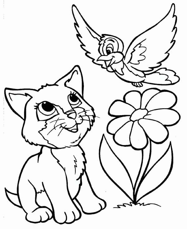 Coloriage Chat avec oiseau et fleur