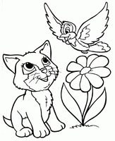 Gato con pájaro y flor