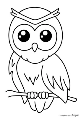 Hibou facile et mignon