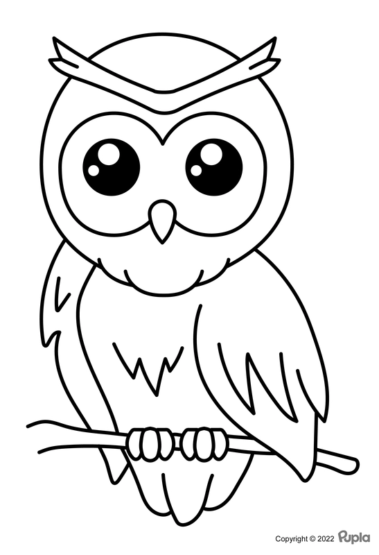 Owl Easy and Cute Coloring Page