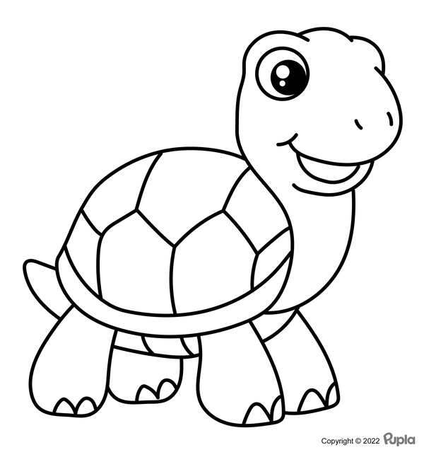 Turtle Easy and Cute Coloring Page
