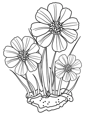 Three Flowers