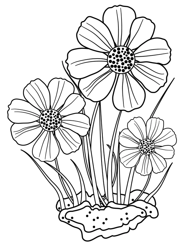 Dibujo para Colorear Tres flores