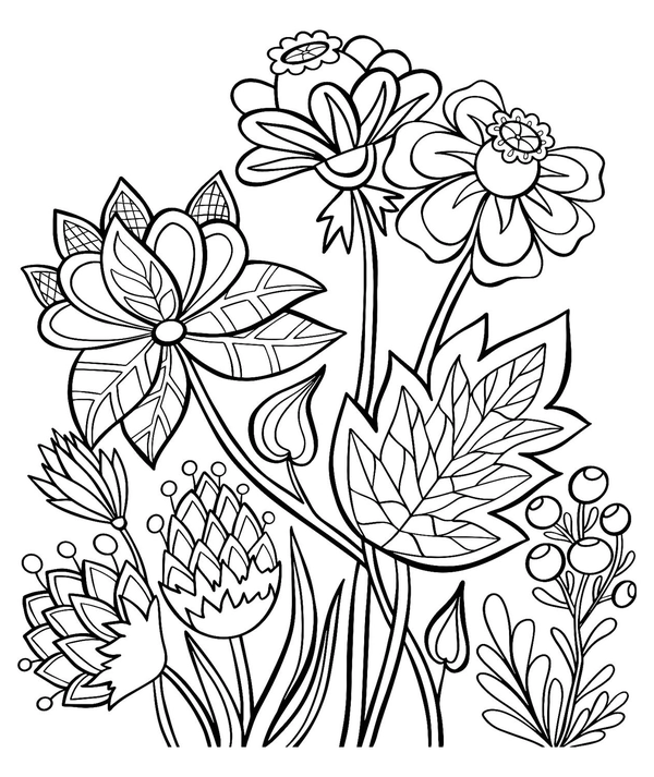 Dibujo para Colorear Flores silvestres