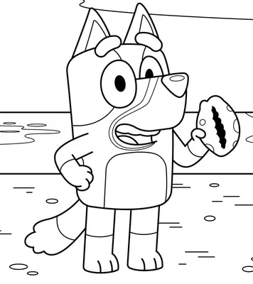 Bluey found a Shell