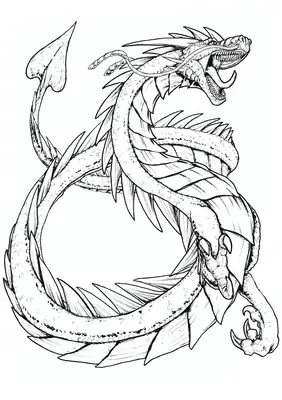 Dragon dans le ciel