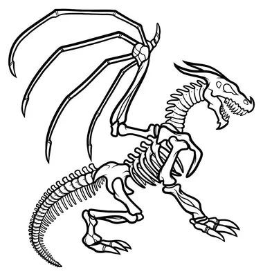 Squelette de dragon