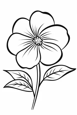 Violet Flower