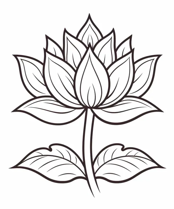 lotus coloring pages