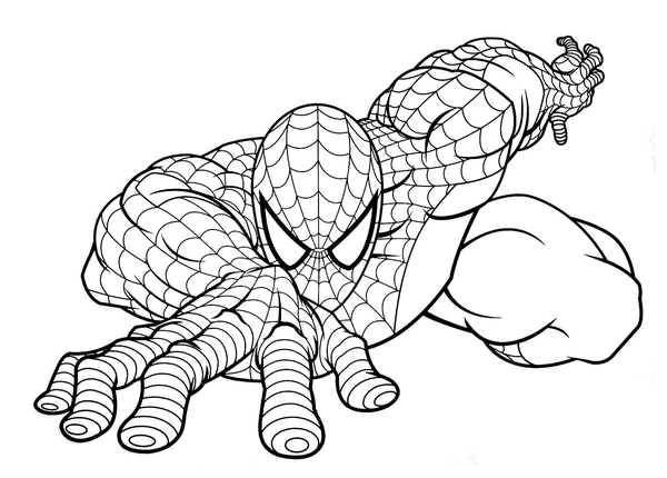 Kruipende Spiderman Kleurplaat