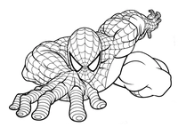 Kruipende Spiderman