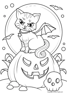 Halloween Cat Sitting on Pumpkin
