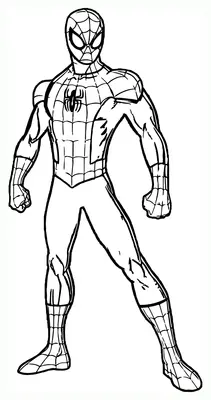 Spiderman Standing