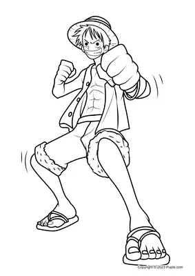 One Piece Monkey D. Luffy