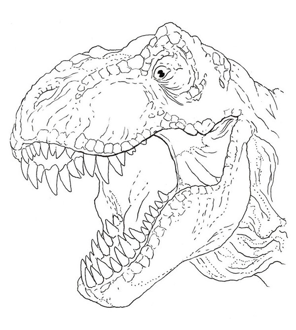 Dinosaur T-Rex Head Coloring Page