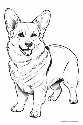 Welsh Corgi Pembroke réaliste