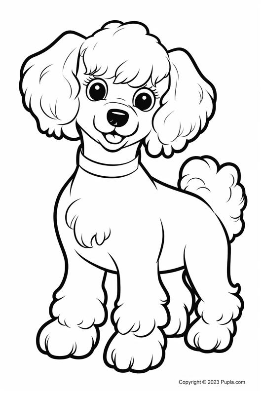 Cute French Poodle Coloring Page
