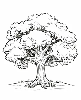 Oak Tree