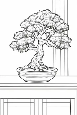Bonsai Tree